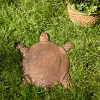 Turtle Stepping Stone